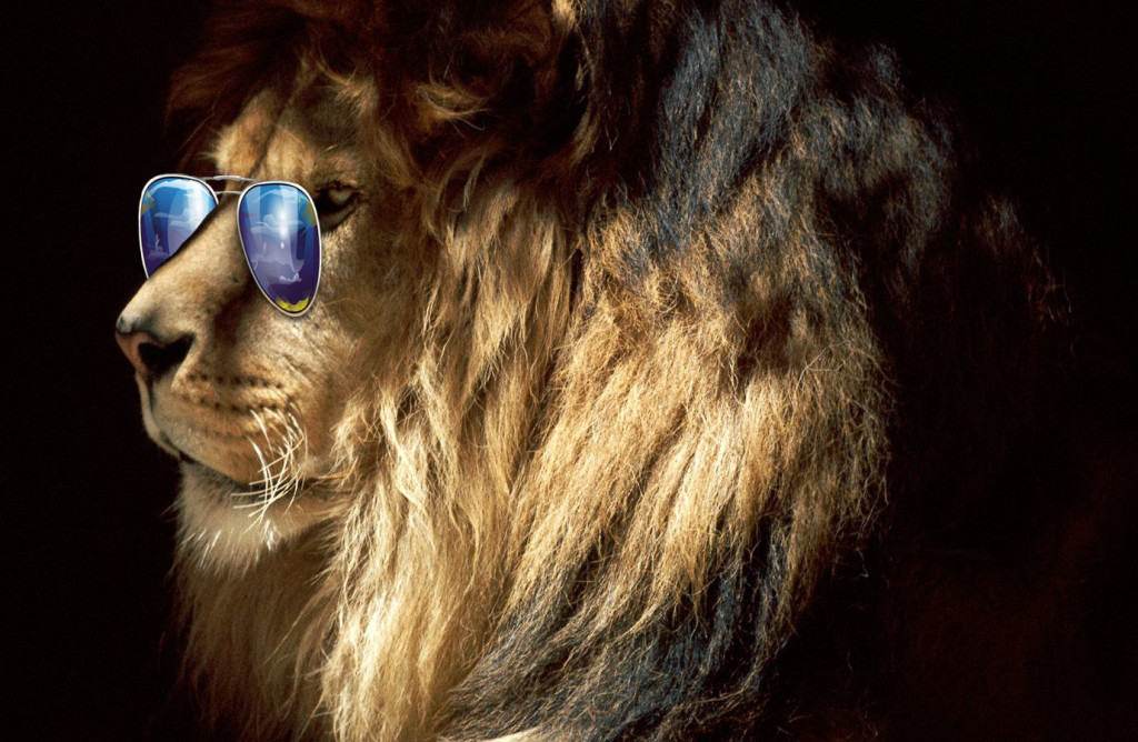 lionsunglasses